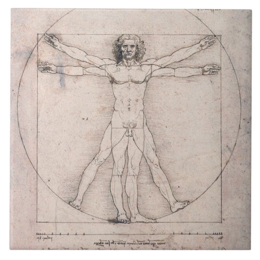 Vitruvian Man, Leonardo da Vinci Fliese (Vorderseite)