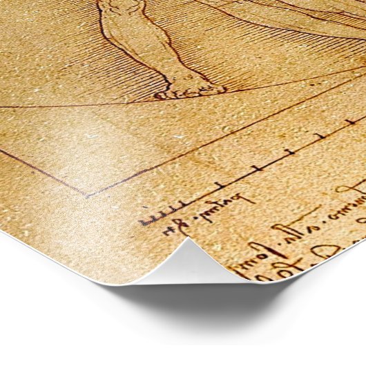 Vitruvian Man-Leonardo Da Vinci Fotodruck (Ecke)