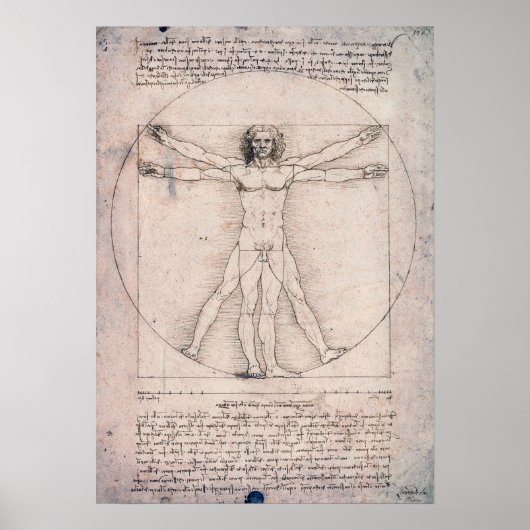 Vitruvian Man, Leonardo da Vinci Poster (Vorne)