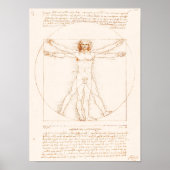 Vitruvian Man | Leonardo da Vinci | Poster (Vorne)