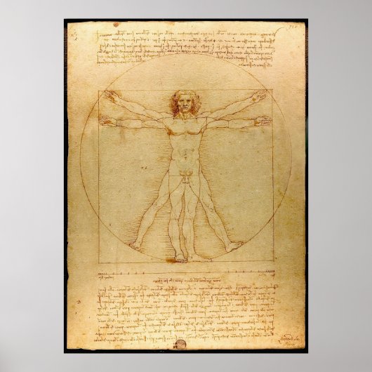 Vitruvian Man Poster (Vorne)