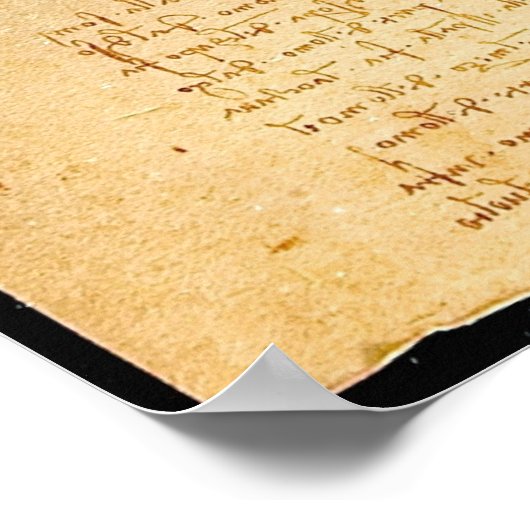 Vitruvian Man Poster (Ecke)