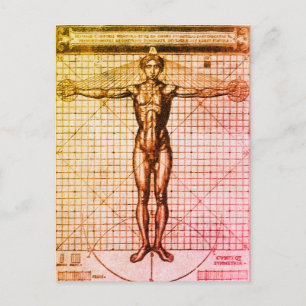 Vitruvian Man (Vitruvius: De architectura) Postcar Postkarte
