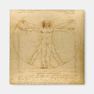 Vitruvian Man von Leonardo da Vinci Magnet