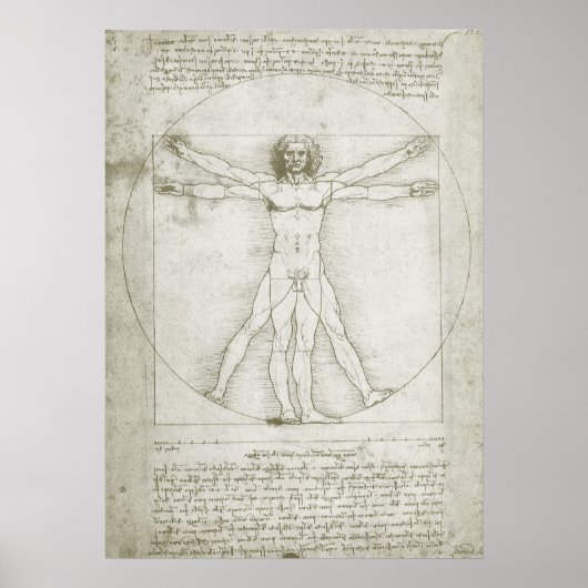 Vitruvian Man von Leonardo da Vinci Poster (Vorne)