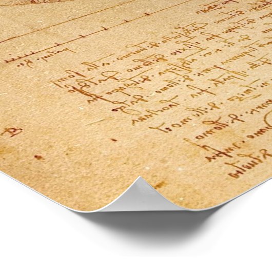 Vitruvian Man von Leonardo da Vinci Poster (Ecke)