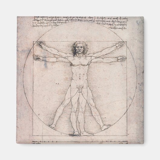 Vitruvian ManVitruvian Man, Leonardo da Vinci Magnet (Vorne)