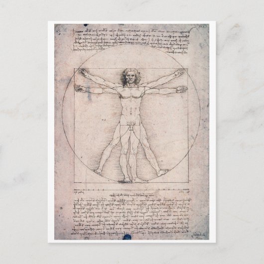 Vitruvian ManVitruvian Man, Leonardo da Vinci Postkarte (Vorderseite)