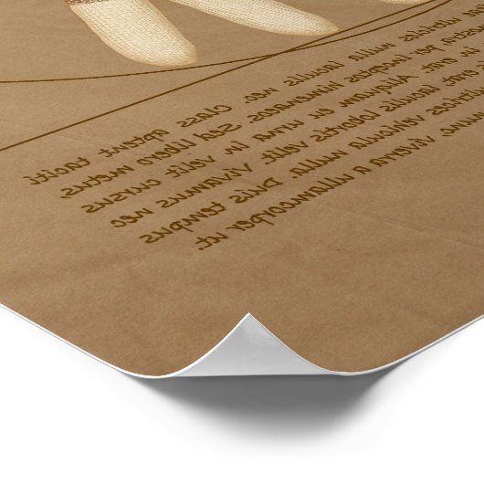 Vitruvian Monkey Poster (Ecke)