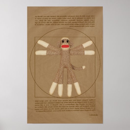 Vitruvian Monkey Poster (Vorne)