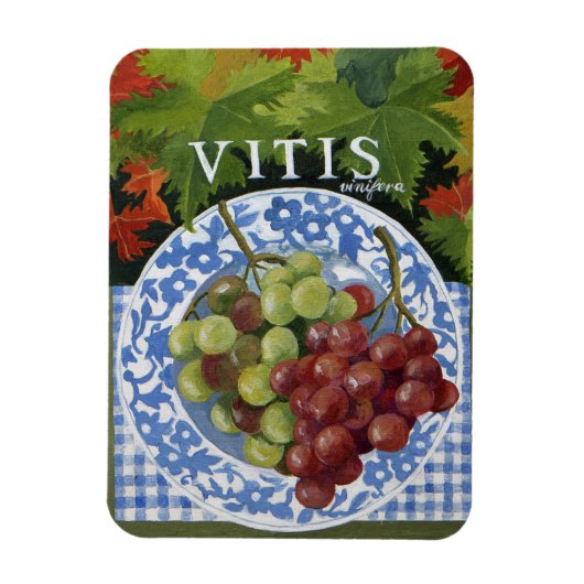 Vitus Magnet (Vertikal)