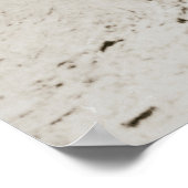 Viva Cristo Rey - Miguel Pro Poster (Ecke)