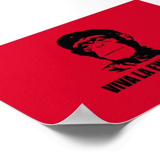 Viva La Evolucion Poster (Ecke)