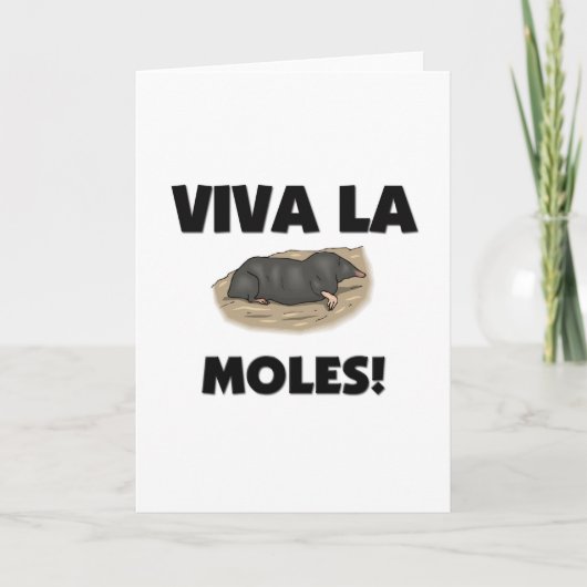 Viva La-Molen Karte (Vorderseite)