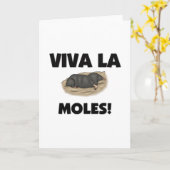 Viva La-Molen Karte (Gelbe Blume)