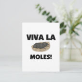 Viva La Moles Postkarte (Stehend Vorderseite)