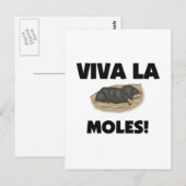 Viva La Moles Postkarte (Vorne/Hinten)