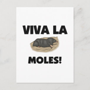 Viva La Moles Postkarte