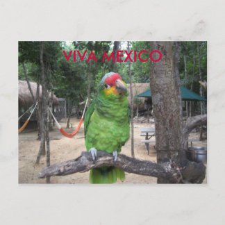 Viva Mexico Postkarte