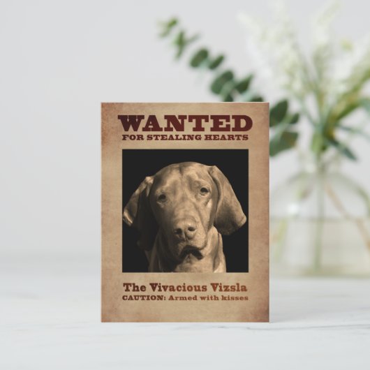 Vivacious Vizsla Postkarte (Stehend Vorderseite)