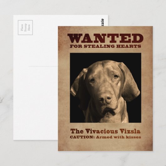 Vivacious Vizsla Postkarte (Vorne/Hinten)