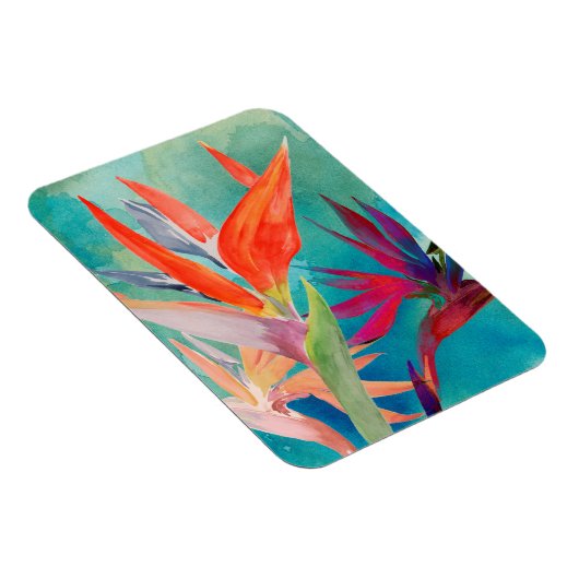 Vivid Birds of Paradise Magnet (Rechte Seite)