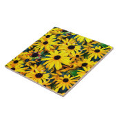 Vivid Black Mit Augen Susan Rudbeckia Melange Fliese (Seite)