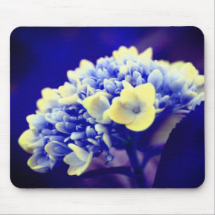 Vivid Blue Hydrangea Blume Mousepad