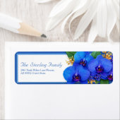 Vivid Cobalt Golden Sprig Orchid Return Address (Insitu)