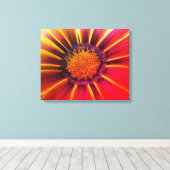 Vivid Color Gerber Daisy Leinwand (Insitu (Holzboden))