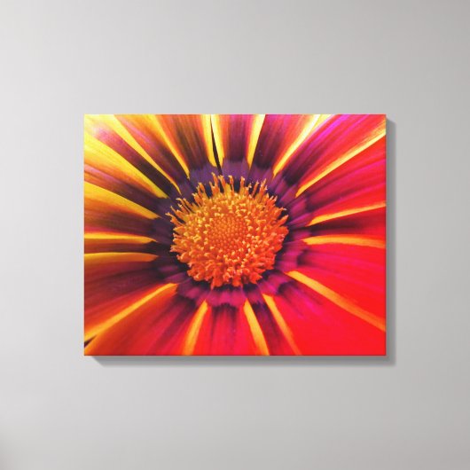 Vivid Color Gerber Daisy Leinwand (Vorderseite)