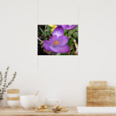 Vivid Crocus Print Poster (Küche)