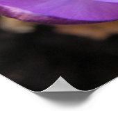 Vivid Crocus Print Poster (Ecke)