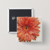 Vivid Daisy Button (Vorne & Hinten)