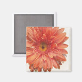 Vivid Daisy Magnet (Vorderseite/Rückseite)