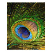 Vivid Feather Fotodruck (Vorne)