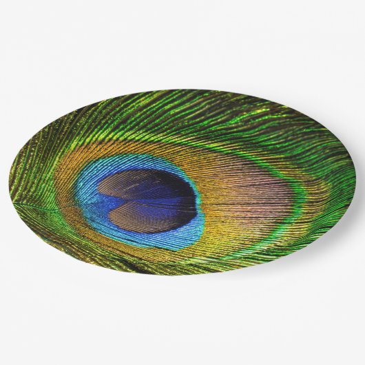 Vivid Feather Pappteller (Schrägansicht)