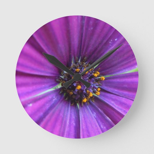 Vivid Lila Daisy Runde Wanduhr (Vorderseite)