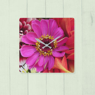 Vivid Magenta Zinnia Unter Multicolor Dahlias Quadratische Wanduhr