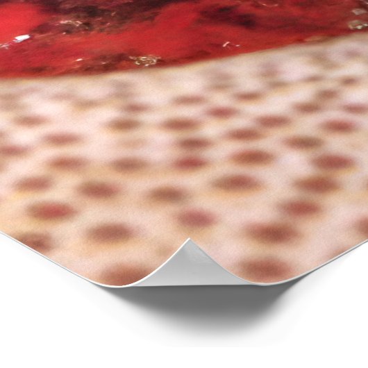 Vivid Nudi Poster (Ecke)