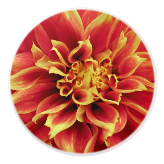 Vivid Orange Dahlia Closeup Drawer Knob Keramikknauf (Vorderseite)