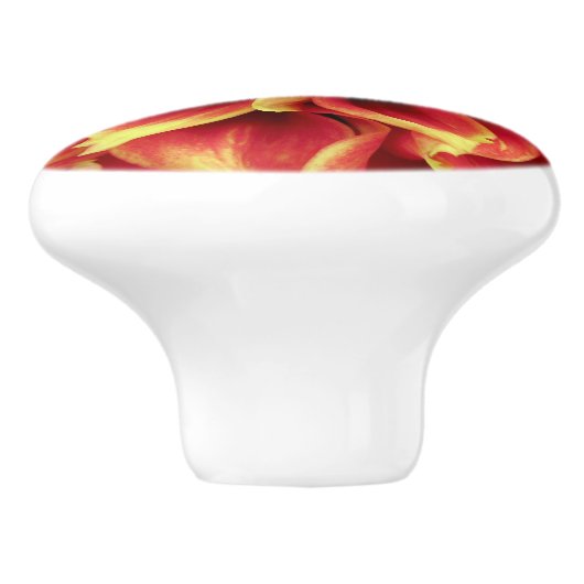 Vivid Orange Dahlia Closeup Drawer Knob Keramikknauf (Seitenansicht)