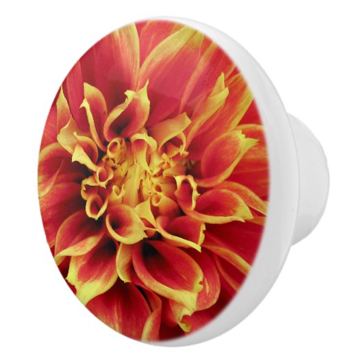 Vivid Orange Dahlia Closeup Drawer Knob Keramikknauf (Rechts)