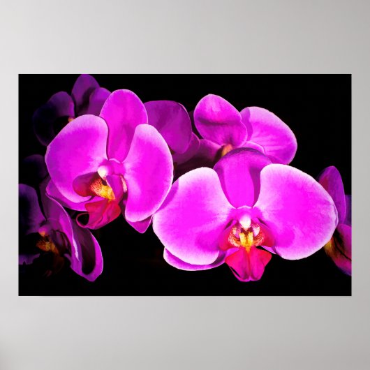 Vivid Orchid Poster (Vorne)
