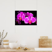 Vivid Orchid Poster (Küche)