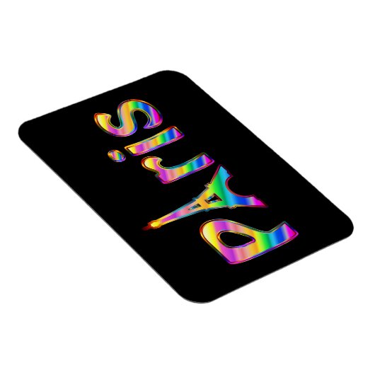 Vivid Paris Magnet (Rechte Seite)