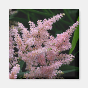 Vivid Pink Blume Foto Magnet