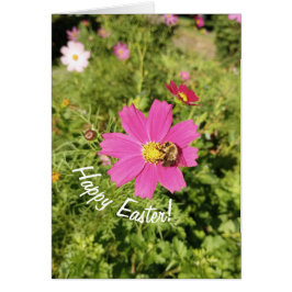 Vivid Pink Cosmos Blume Osterkarte