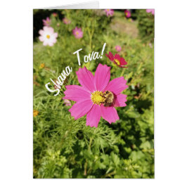 Vivid Pink Cosmos Blume Rosh Hashanah Card
