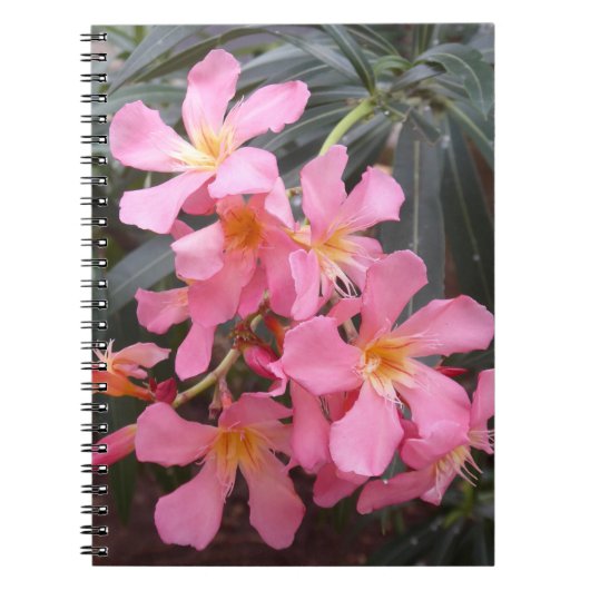Vivid Pink Hawaiian Blume Foto Spiral Notebook Notizblock (Vorderseite)